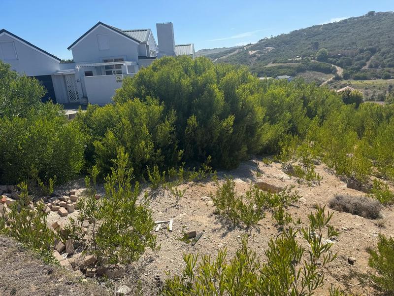 0 Bedroom Property for Sale in Bergsig Western Cape